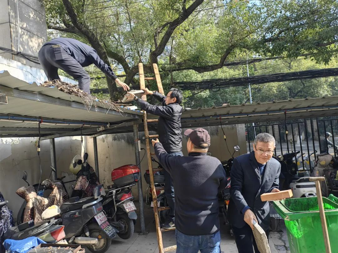 長運(yùn)物業(yè) 清理車頂棚 美化環(huán)境